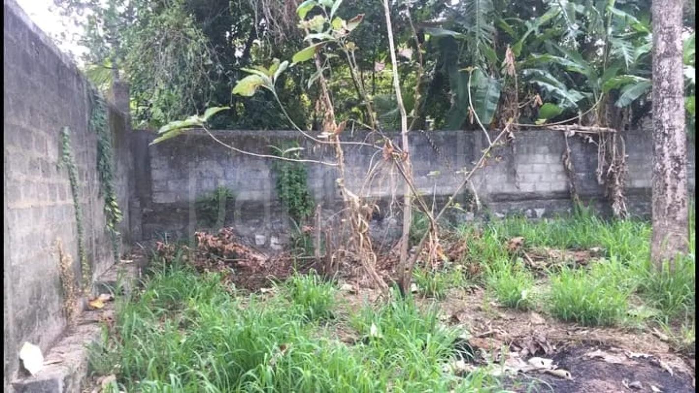 Commercial Land for Sale in Ragama ads-image-1