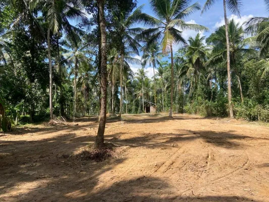 Commercial Land for Sale in Veyangoda