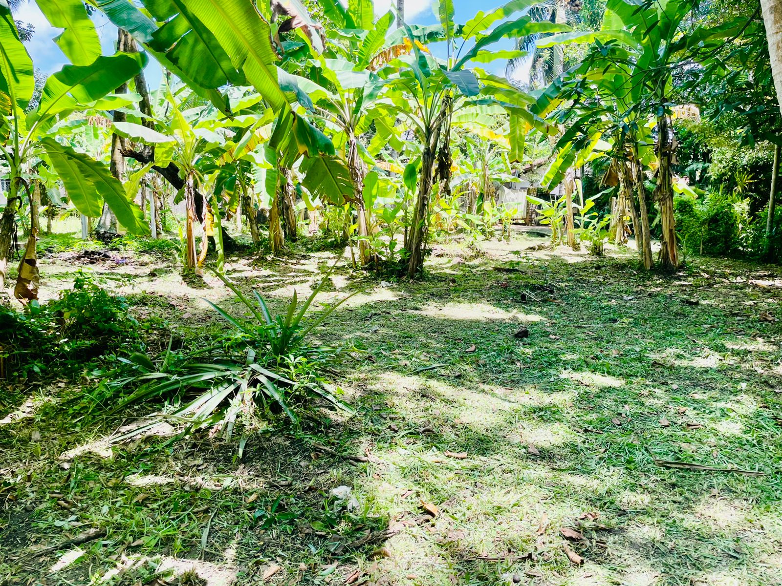 Commercial Land for Rent in Ja-Ela