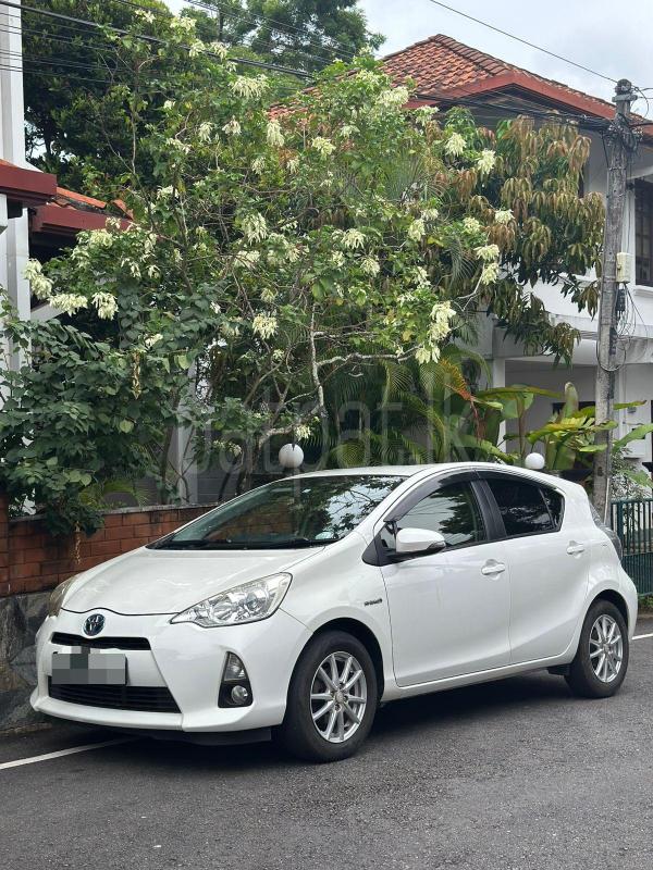 Advertisement image 1