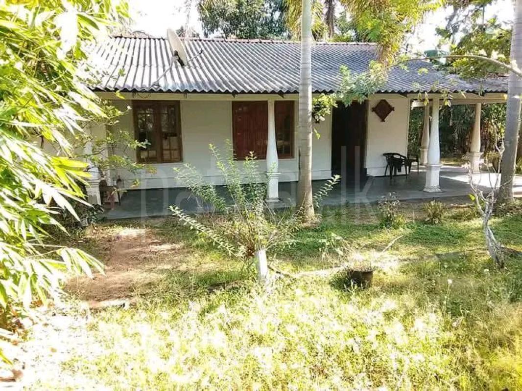 House for Sale in Ibbagamuwa