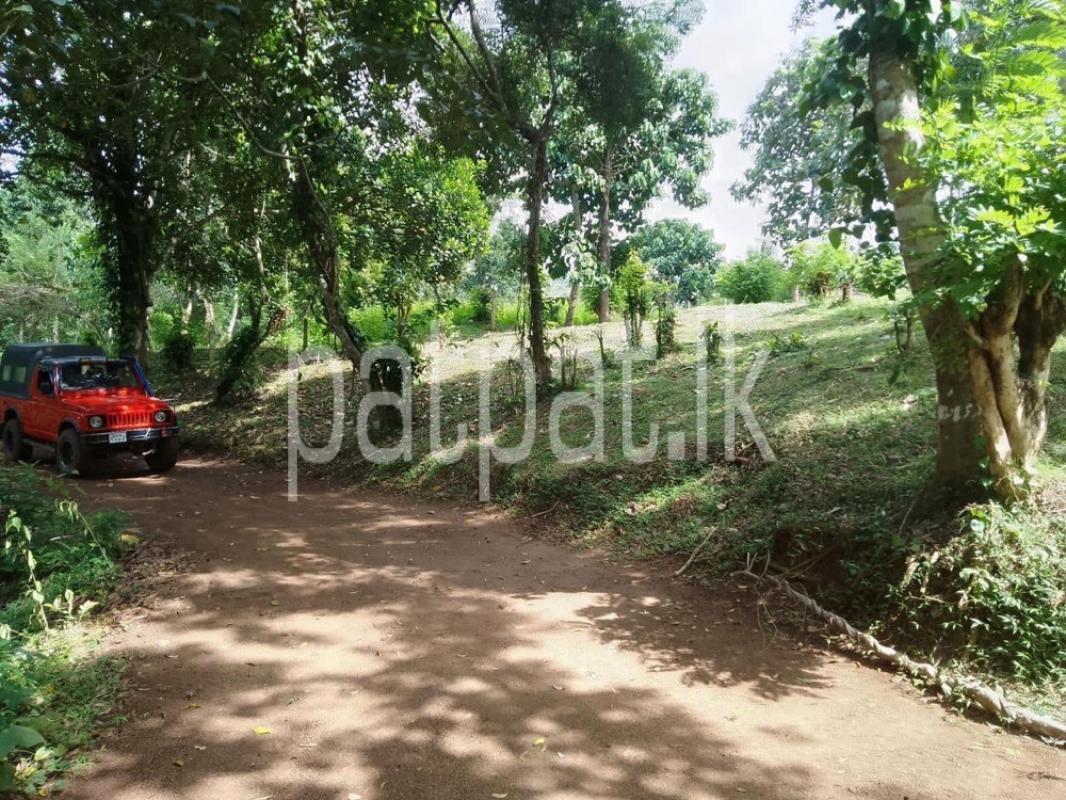 Advertisement image 6