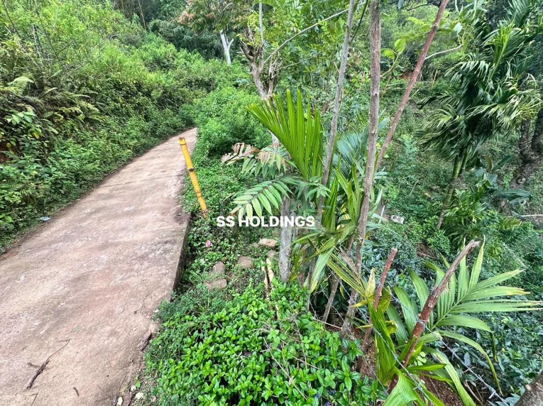 Commercial Land for Sale in Passara