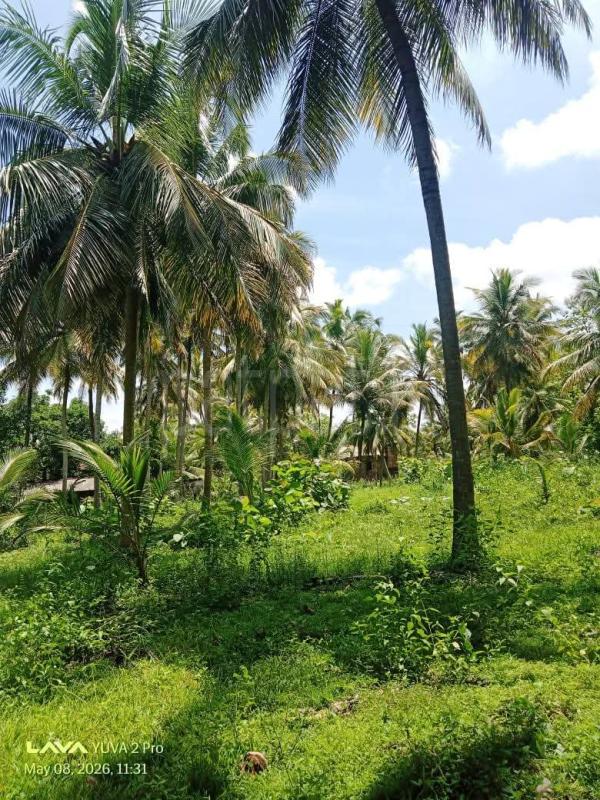 Agricultural Land for Sale in Kurunegala