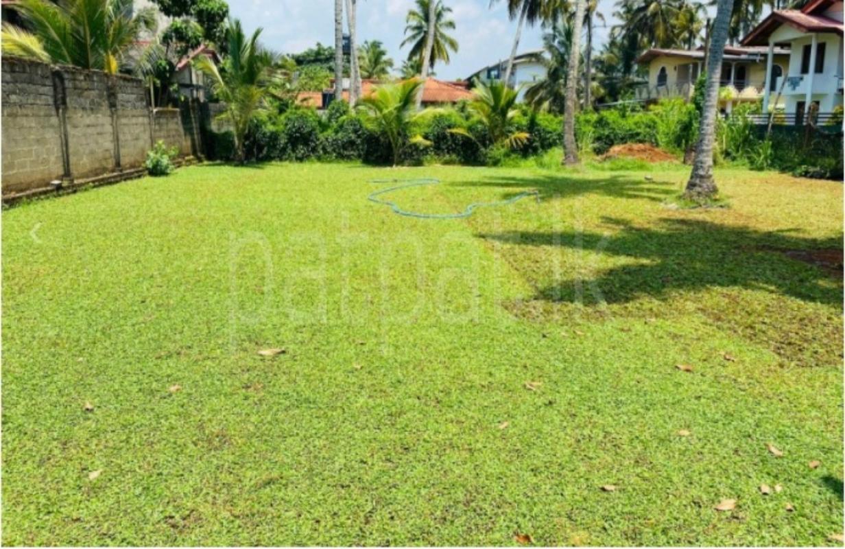 Residential Land for Sale in Wattala