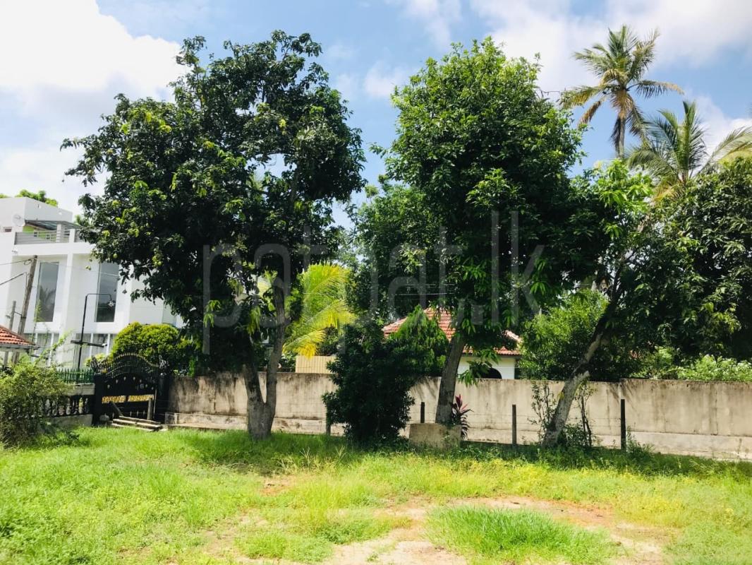 Residential Land for Sale in Negombo
