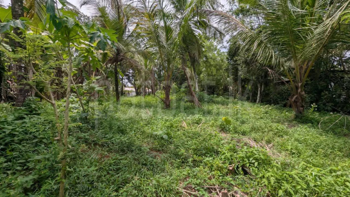 Residential Land for Sale in Nittambuwa