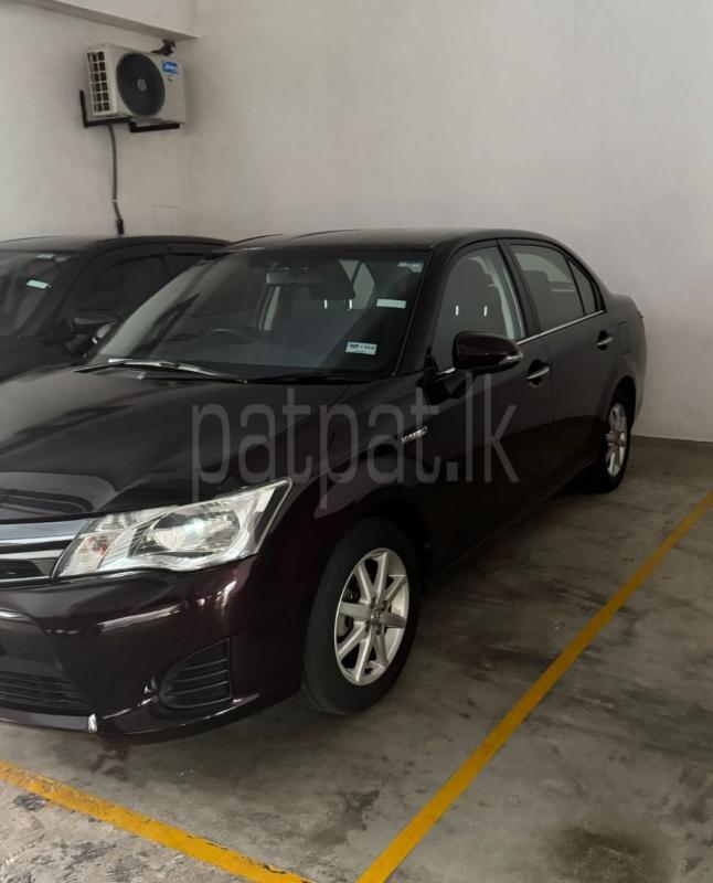 Advertisement image 2