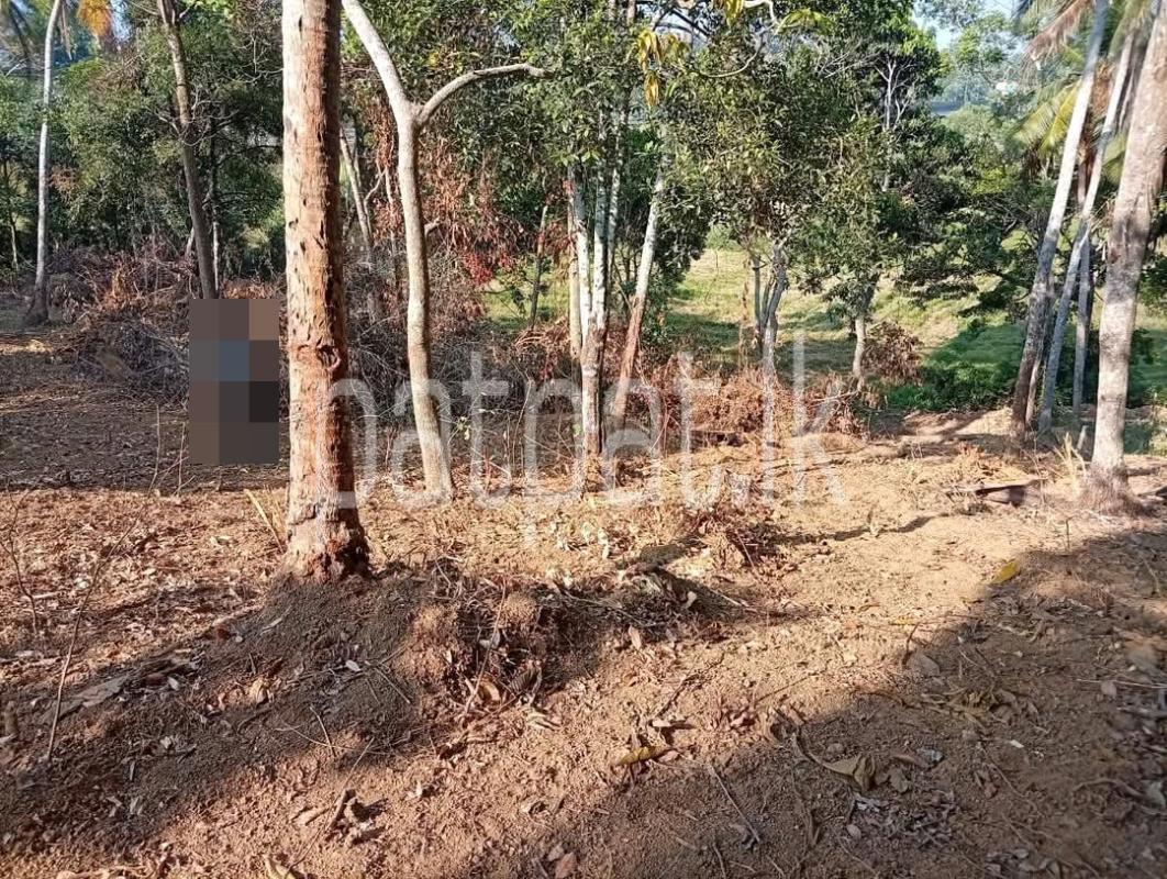Residential Land for Sale in Veyangoda