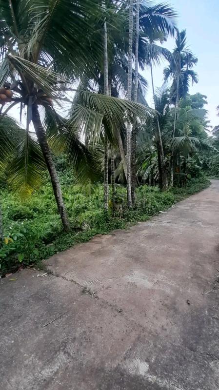 Residential Land for Sale in Horana