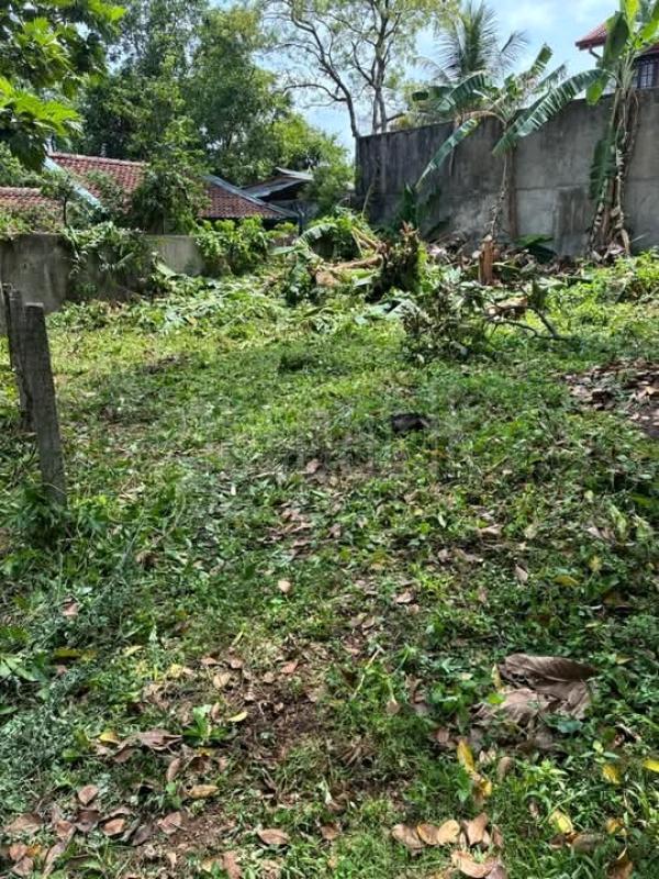 Commercial Land for Sale in Battaramulla