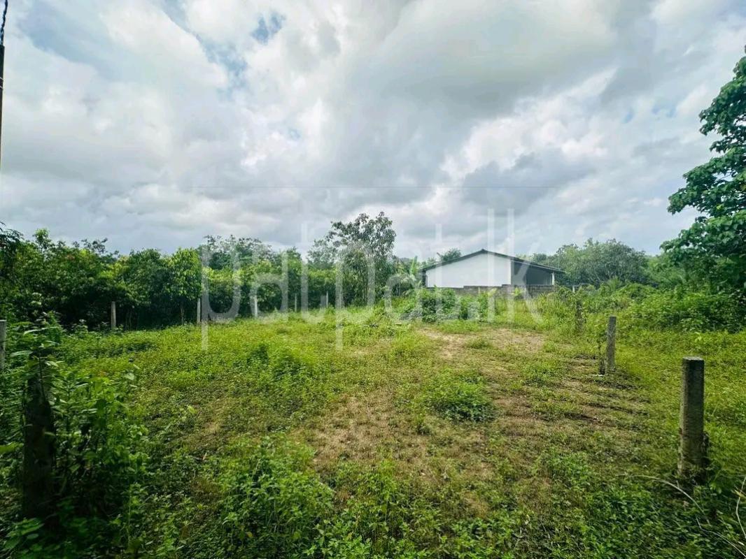 Agricultural Land for Sale in Panadura