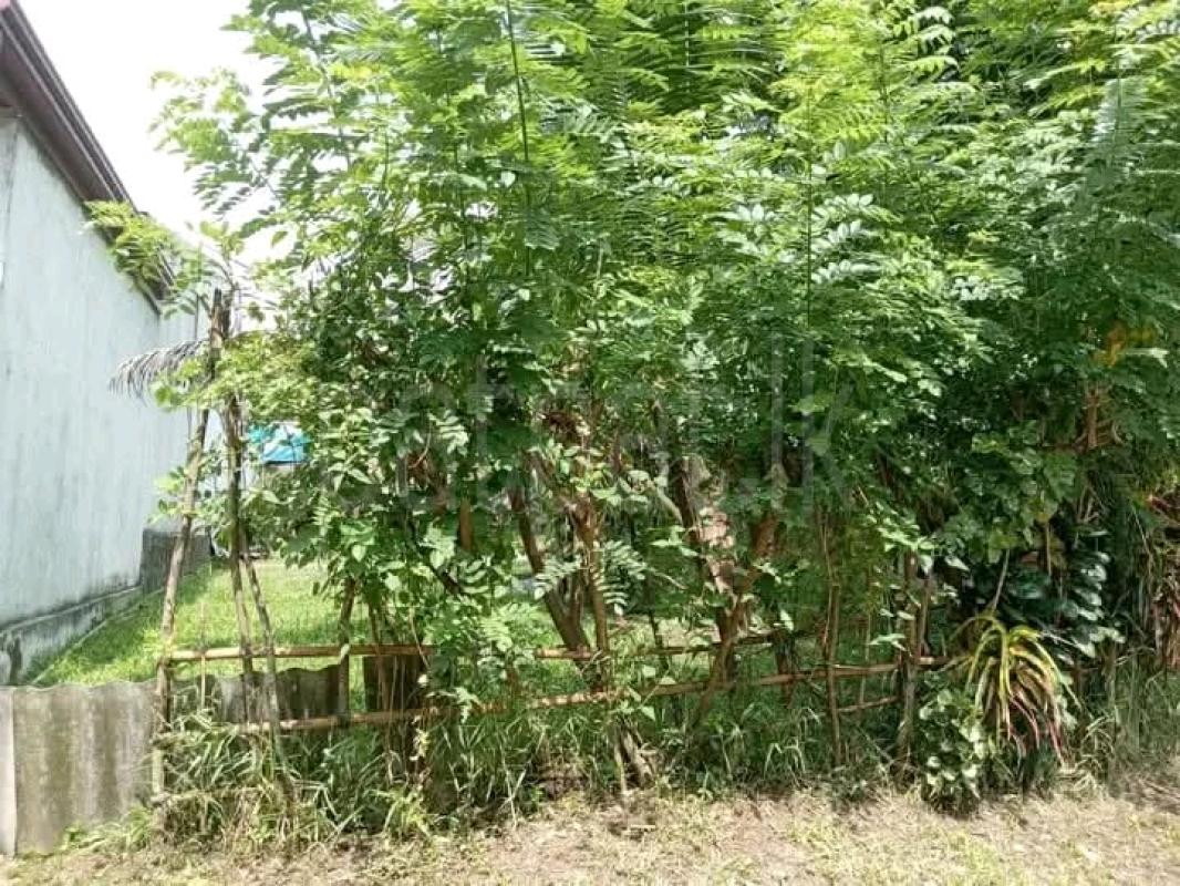 Commercial Land for Sale in Panagoda