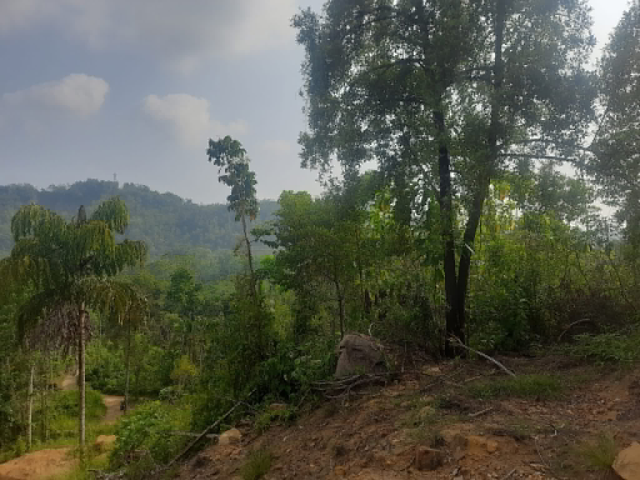 Residential Land for Sale in Galle