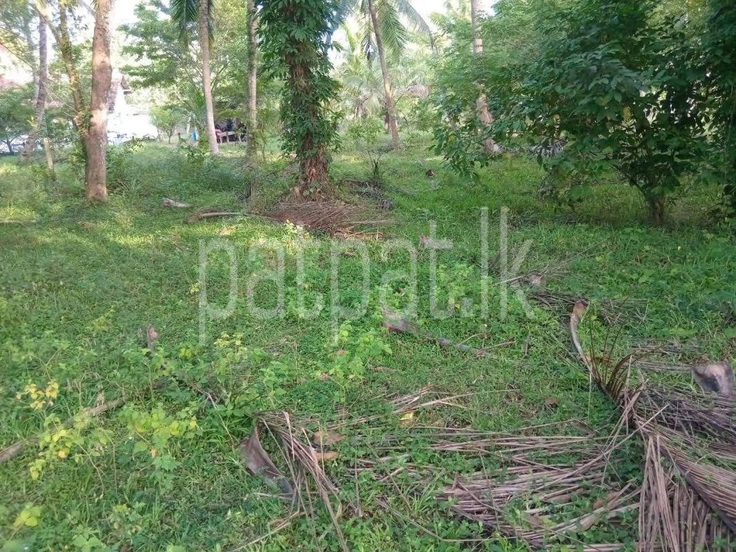 Agricultural Land for Sale in Badalgama