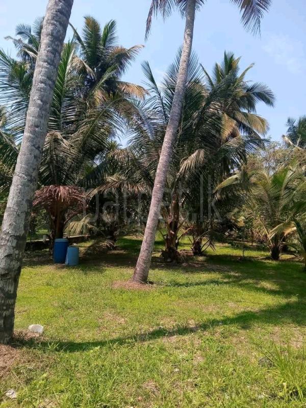 Residential Land for Sale in Yakkala