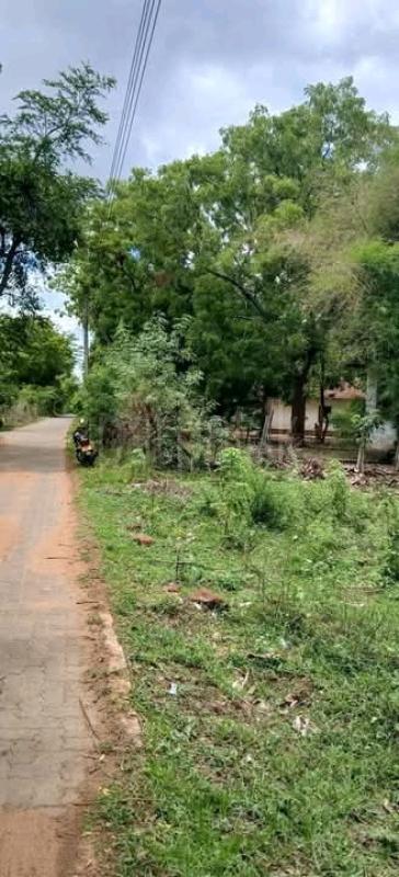 Commercial Land for Sale in Kataragama