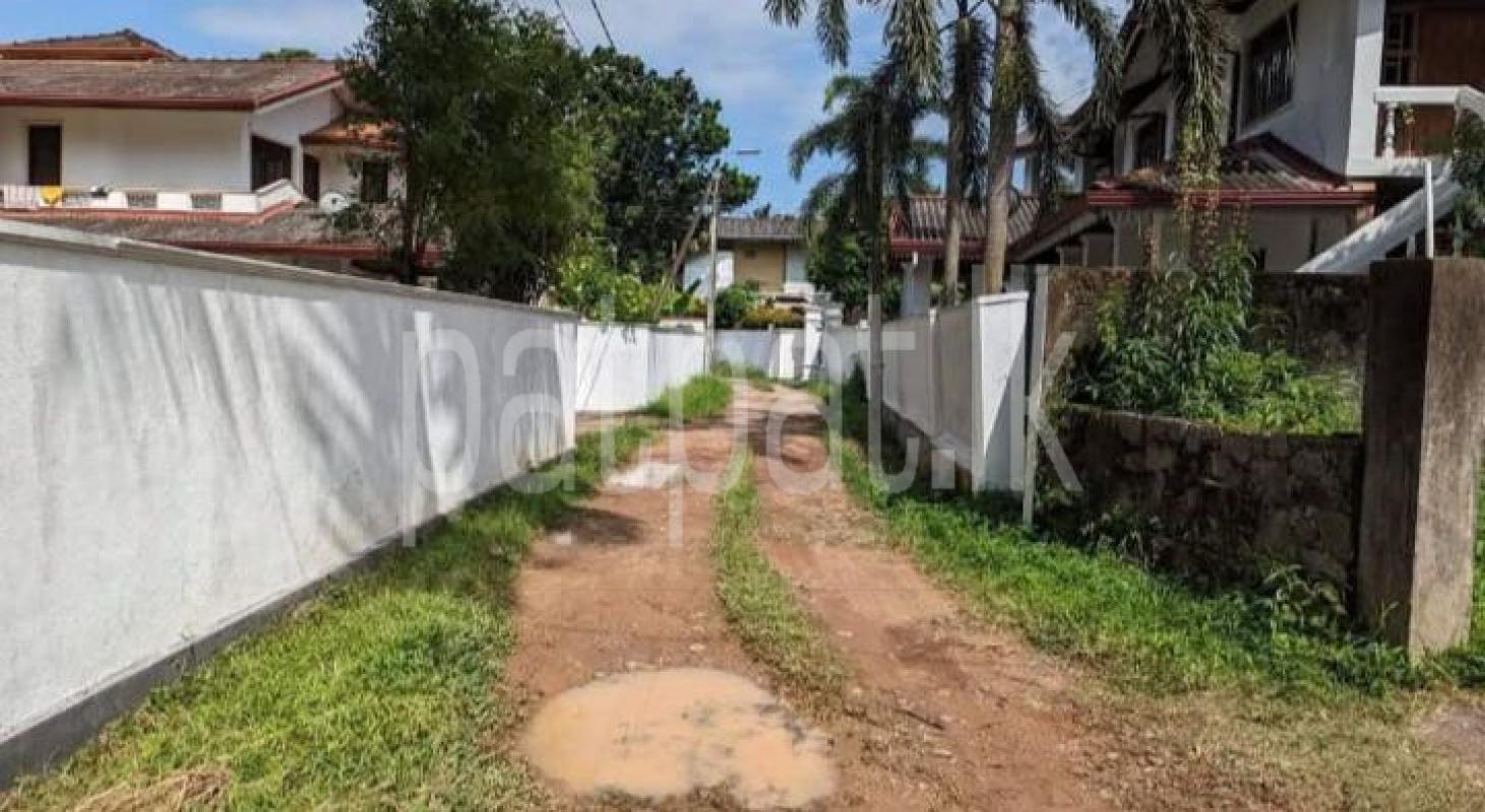 premium-listing-image