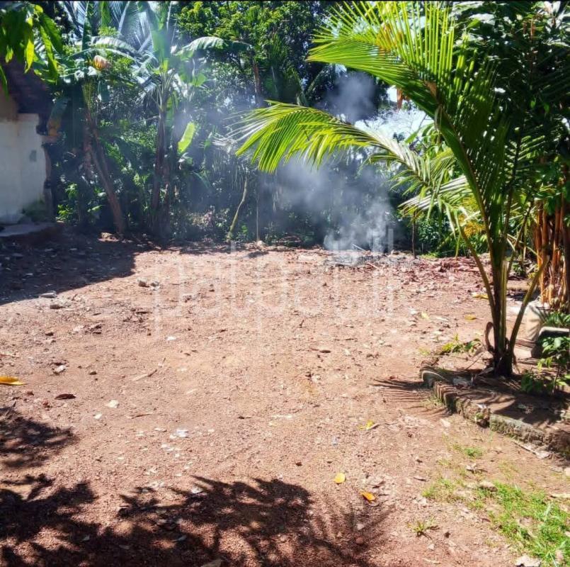 Residential Land for Sale in Panadura ads-image-1