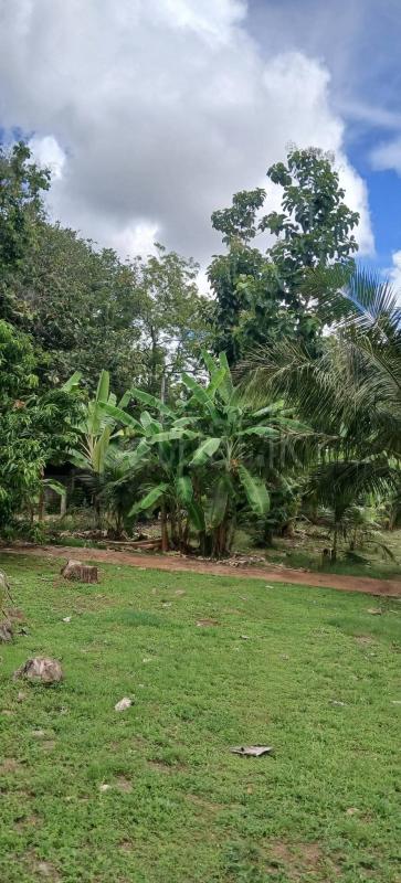 Residential Land for Sale in Kataragama