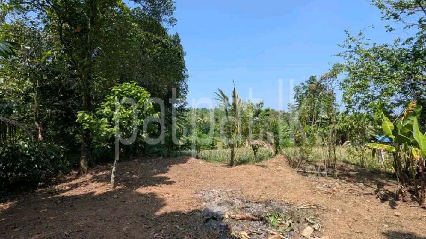 Commercial Land for Sale in Kirindiwela