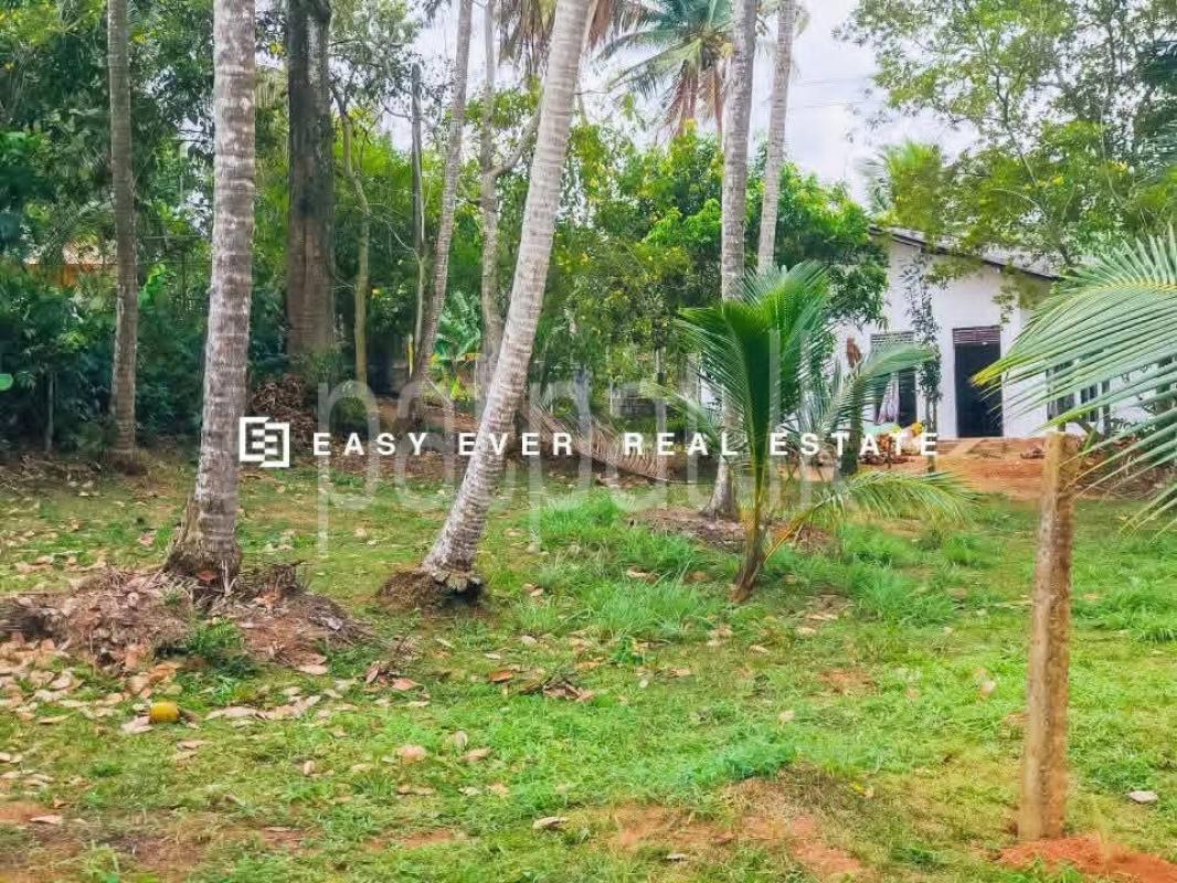 Residential Land for Sale in Batuwatta