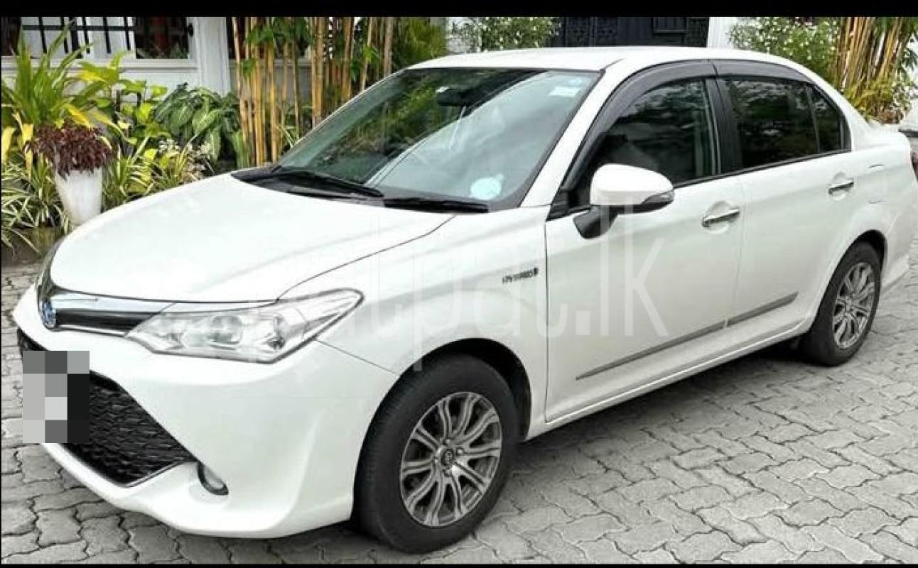 Advertisement image 3