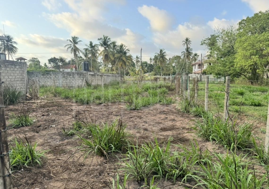 Residential Land for Sale in Negombo ads-image-1