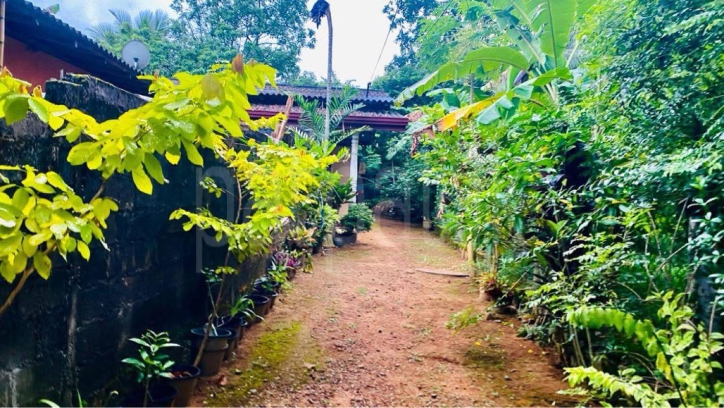 House for Sale in Homagama ads-image-1