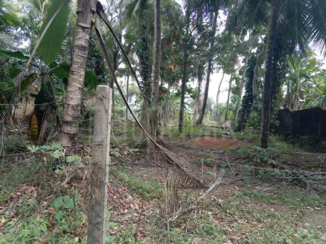 Residential Land for Sale in Kadawatha ads-image-1