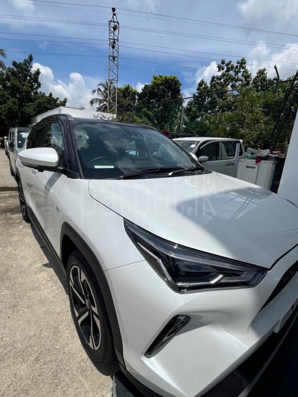 Advertisement image 2