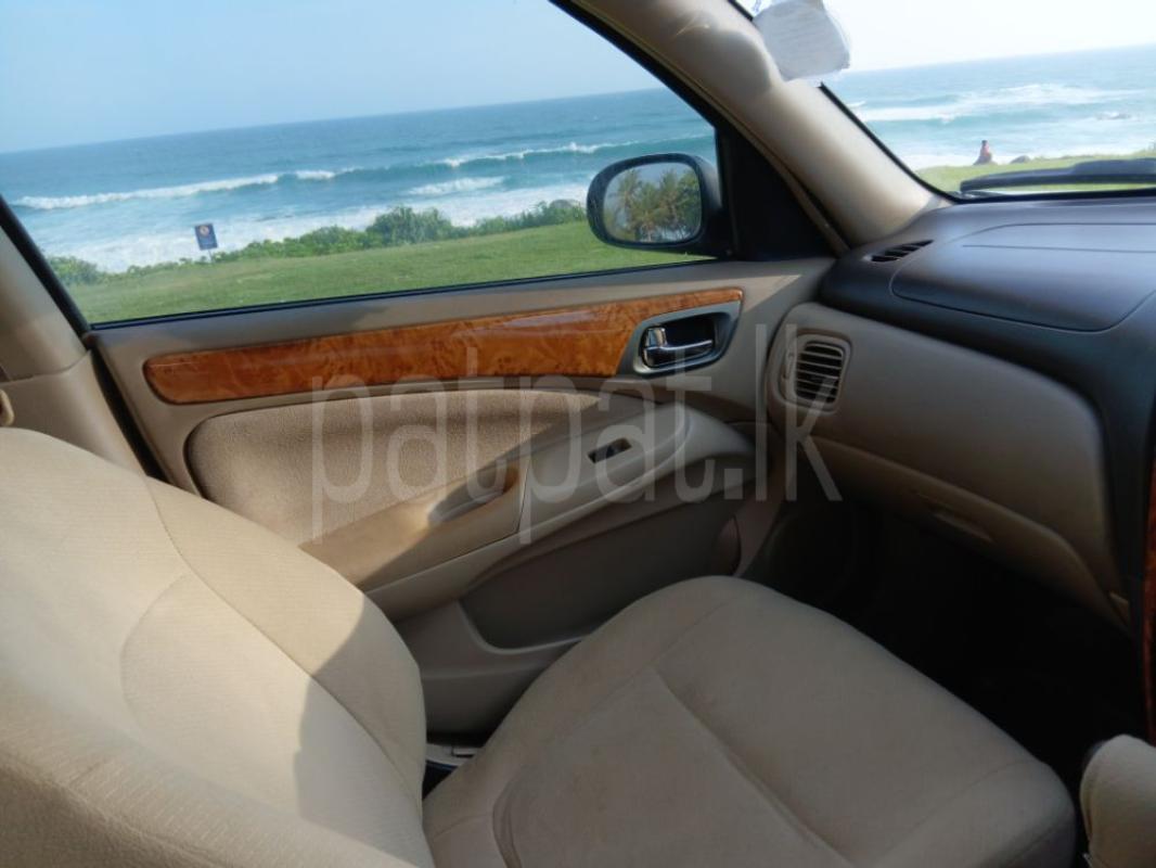 Advertisement image 3