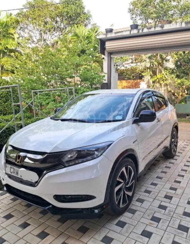 Advertisement image 3