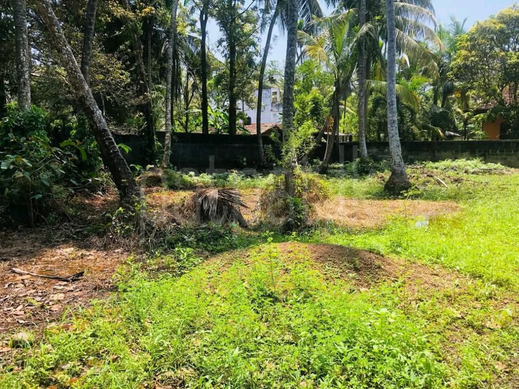 Agricultural Land for Sale in Wariyapola ads-image-1