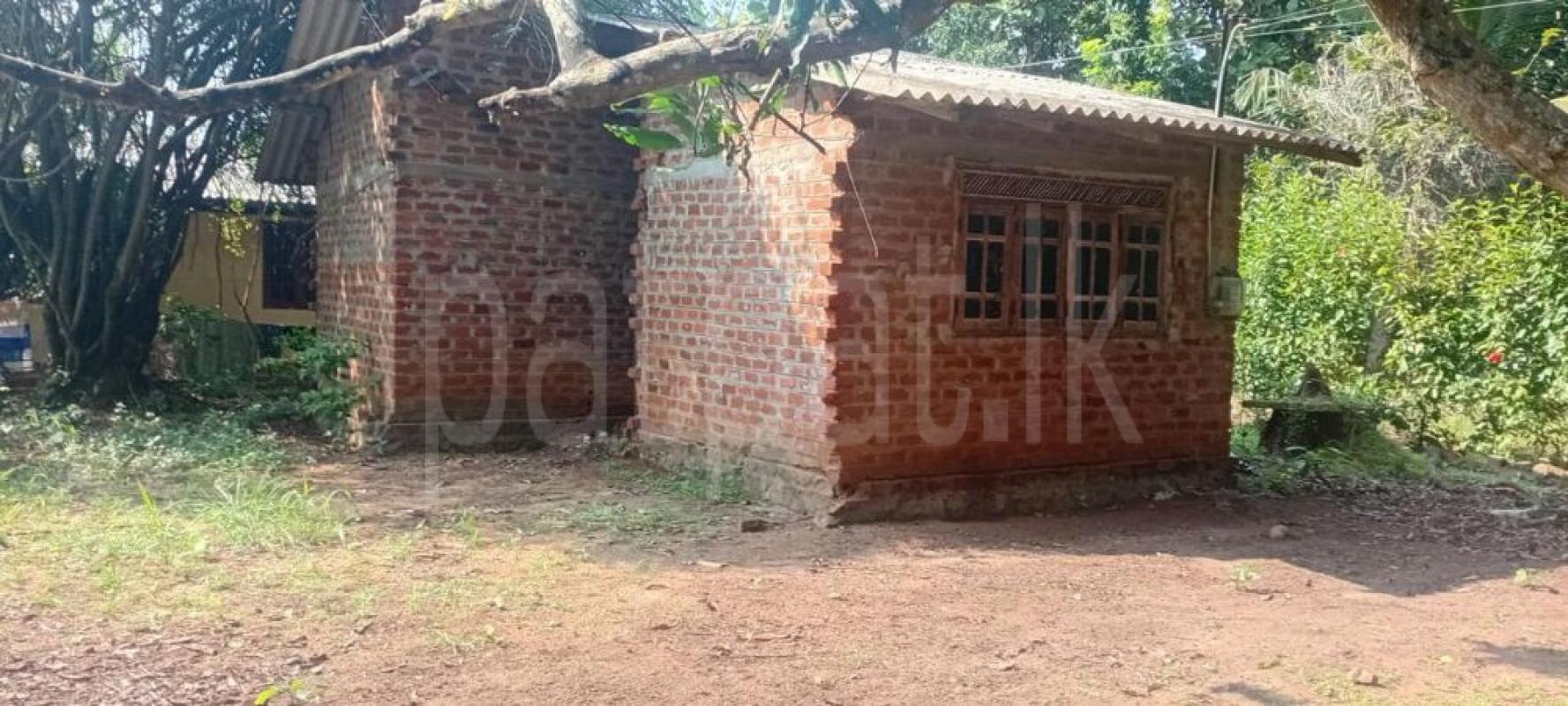 Residential Land for Sale in Anuradhapura ads-image-1