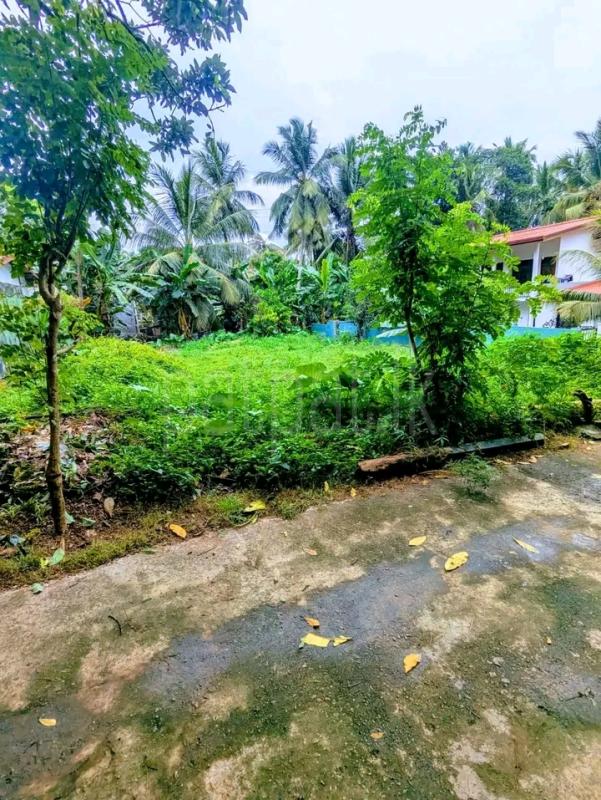 Commercial Land for Sale in Navagamuwa