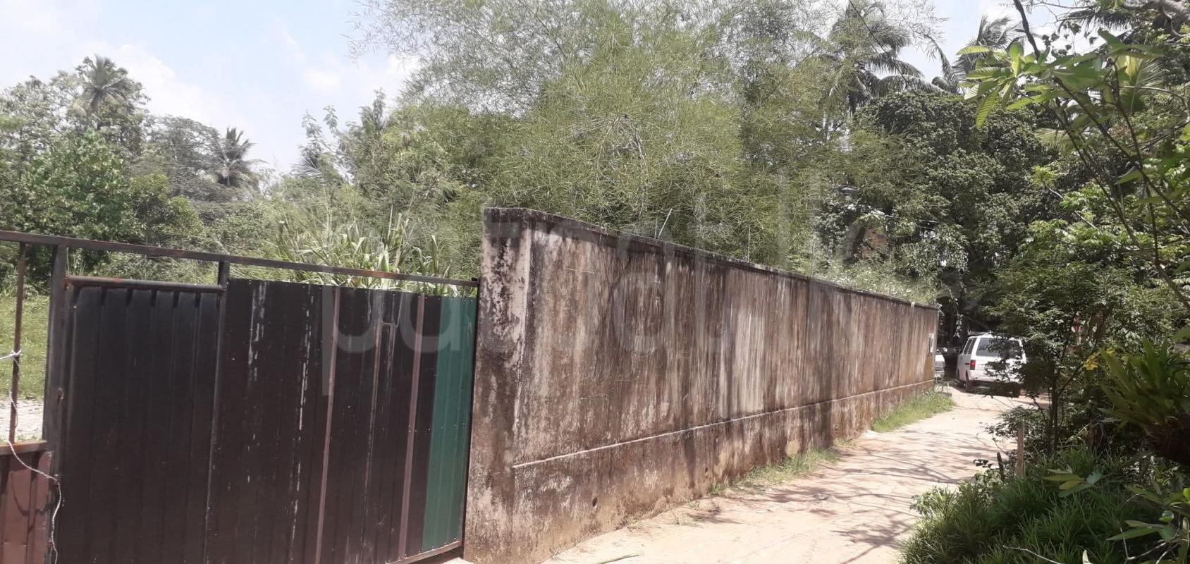 Commercial Land for Sale in Avissawella