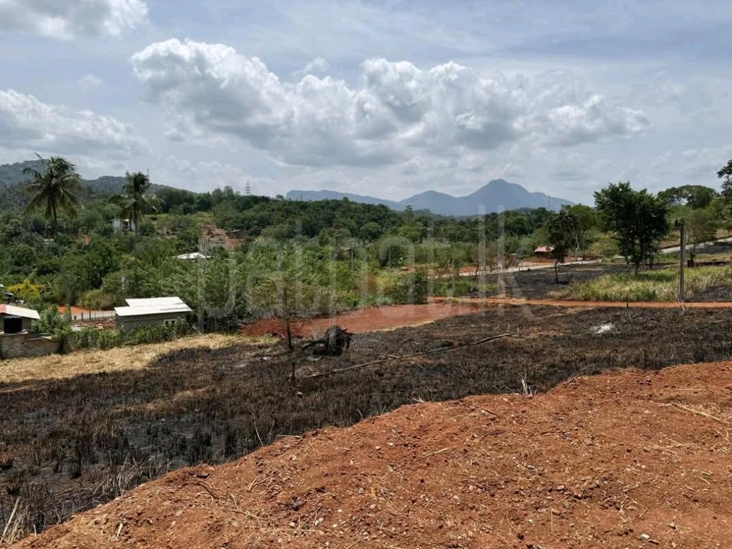 Agricultural Land for Sale in Alwatta ads-image-1