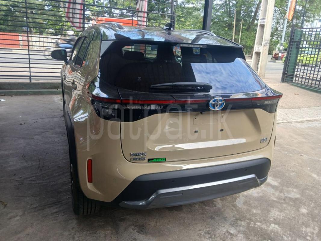 Advertisement image 4