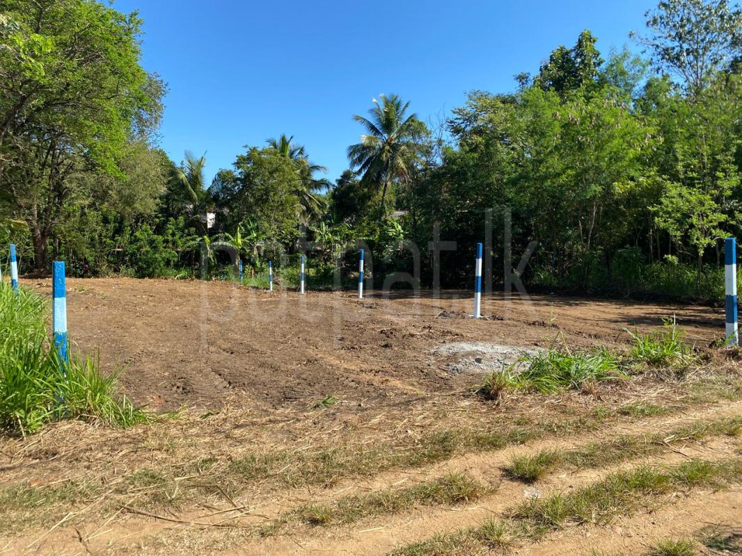 Residential Land for Sale in Wellawaya