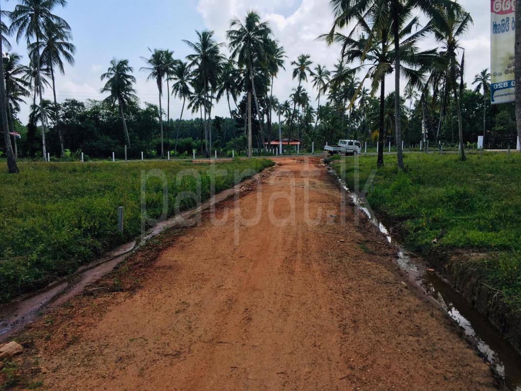 Residential Land for Sale in Pitawala ads-image-1