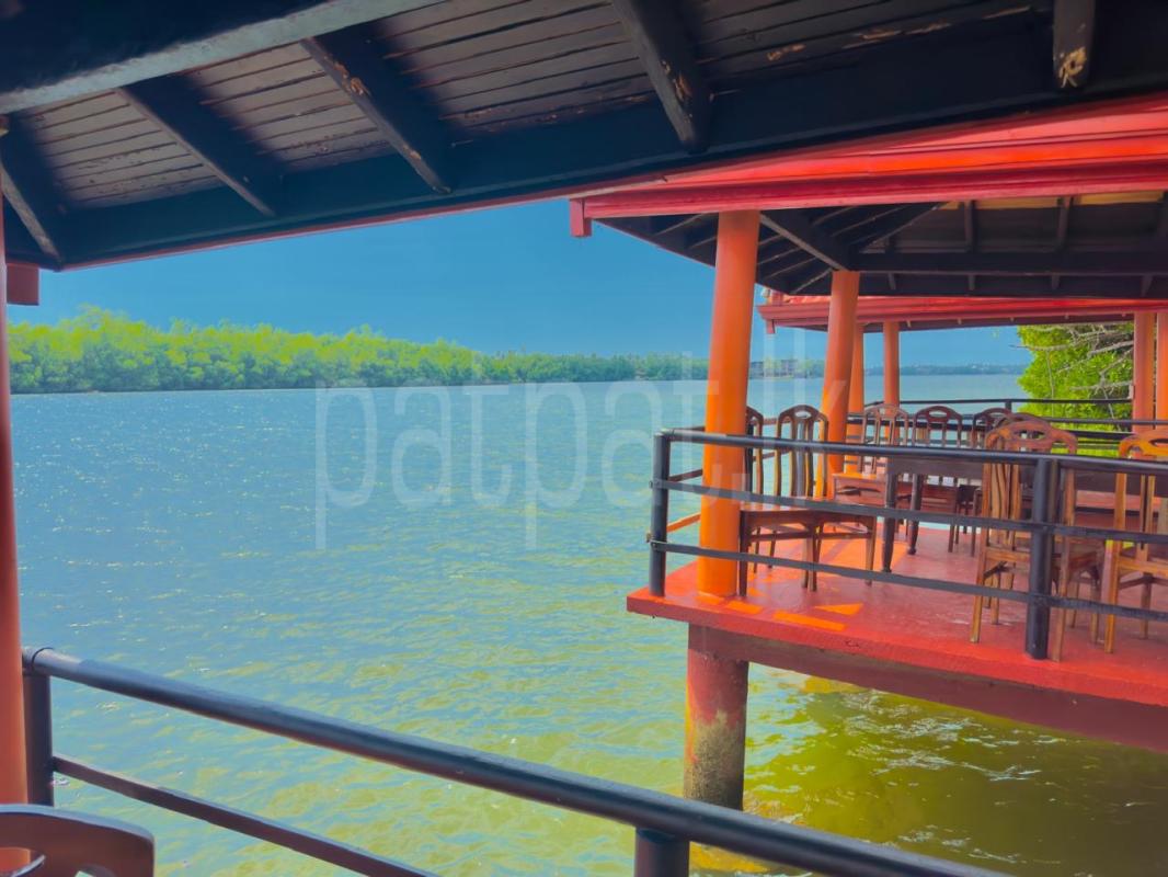 Residential Land for Sale in Benthara