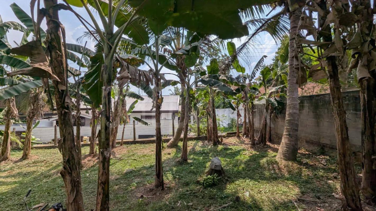 Residential Land for Sale in Weliveriya