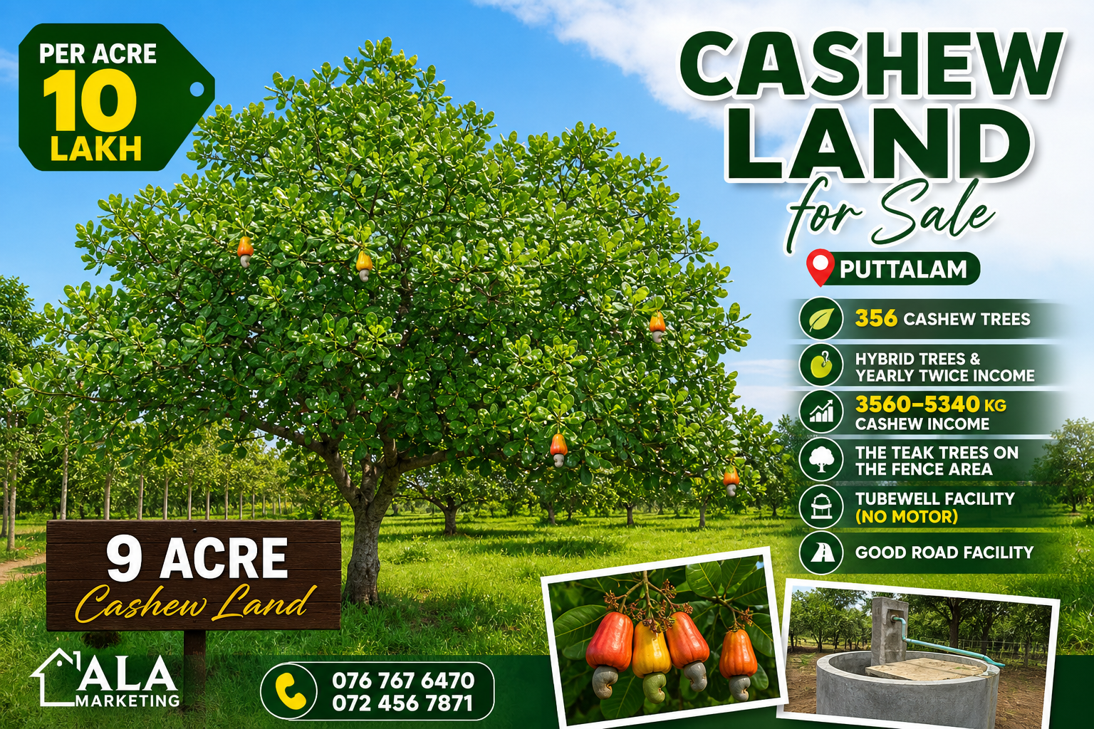 Agricultural Land for Sale in Puttalam