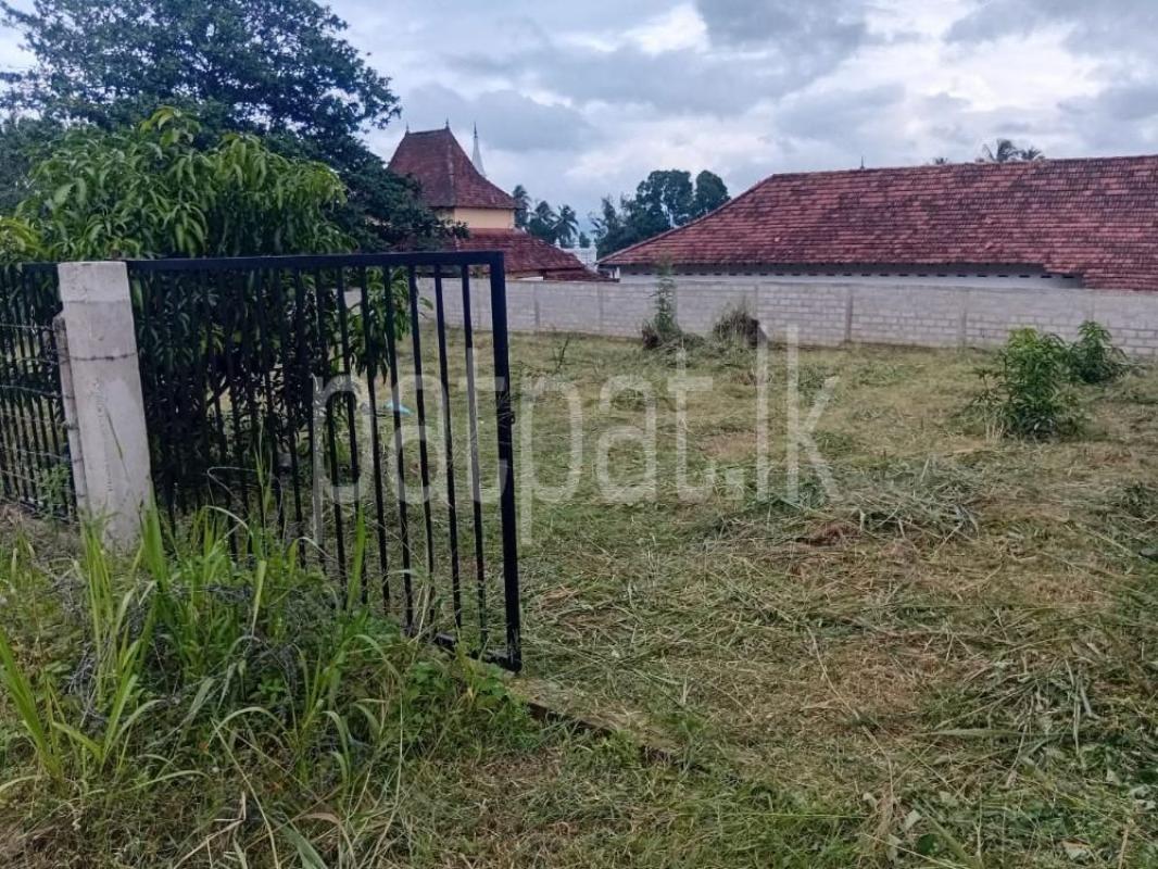 Advertisement image 1