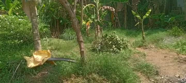 Commercial Land for Sale in Homagama ads-image-1