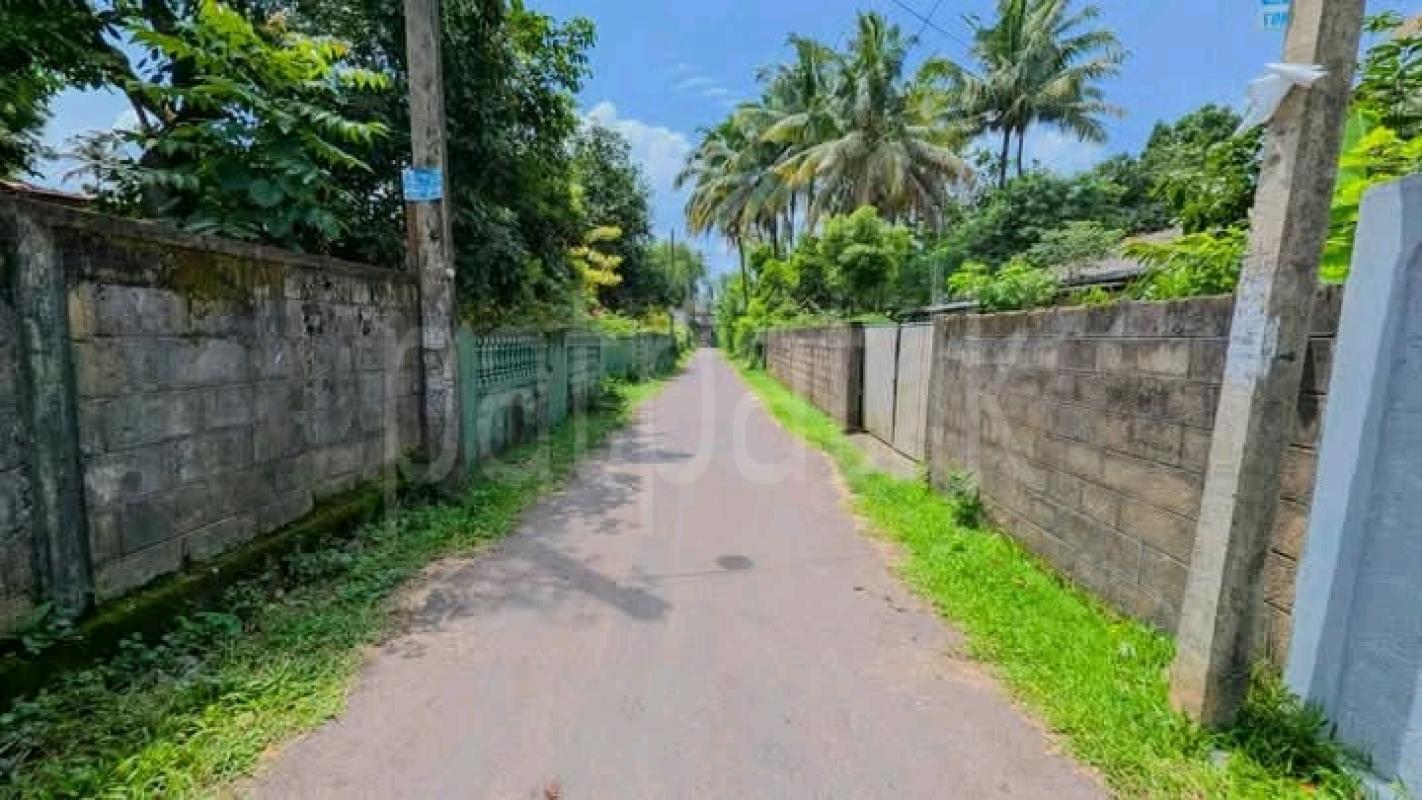Commercial Land for Sale in Gampaha