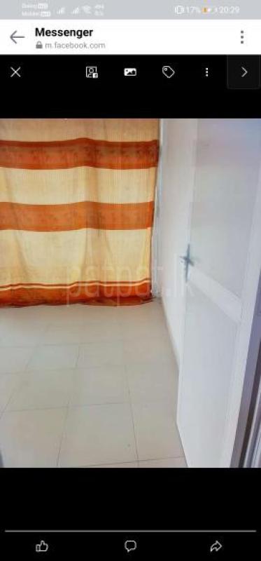 Room for Rent in Kottawa ads-image-1