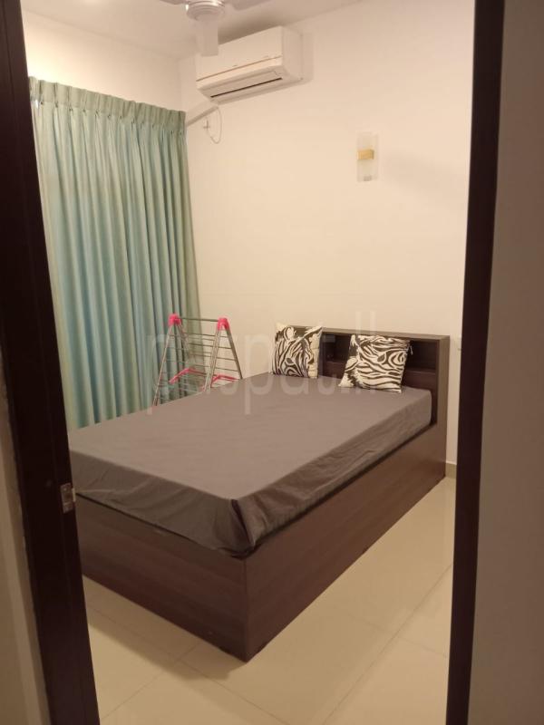Luxury Apartment for Rent in Dehiwala ads-image-1