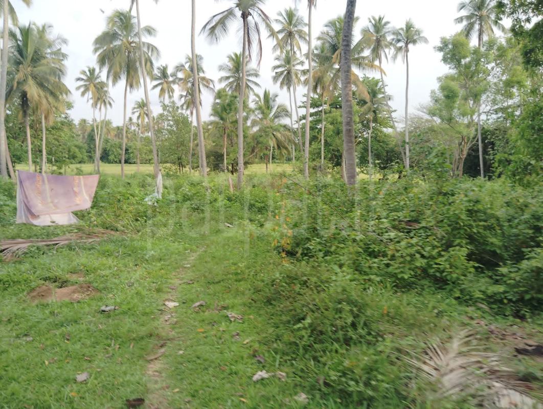 Commercial Land for Sale in Wellawa
